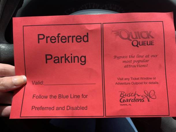 , The Wild Side: Checking In On Busch Gardens Tampa