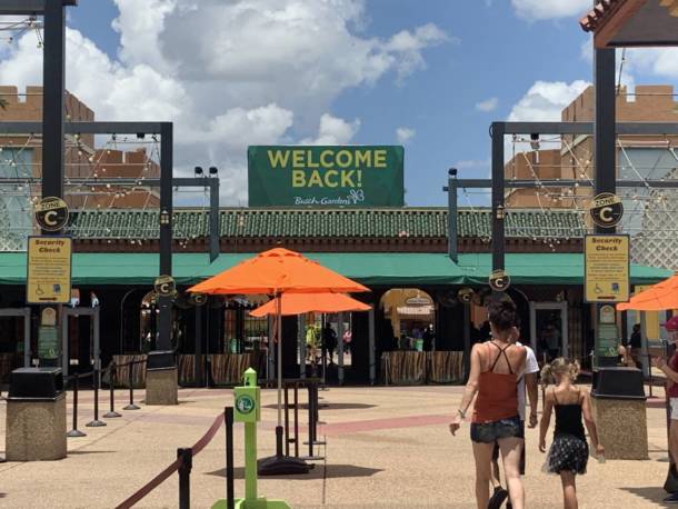 , The Wild Side: Checking In On Busch Gardens Tampa