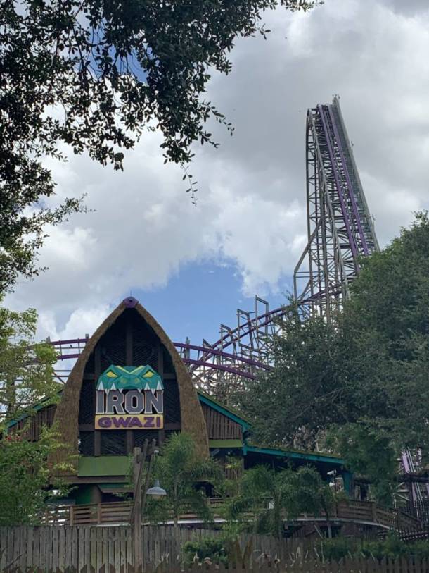, The Wild Side: Checking In On Busch Gardens Tampa