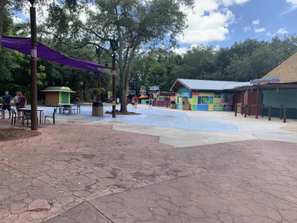 , The Wild Side: Checking In On Busch Gardens Tampa