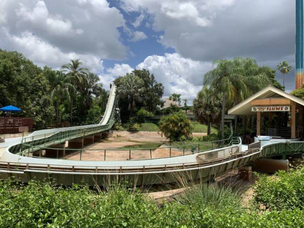 , The Wild Side: Checking In On Busch Gardens Tampa