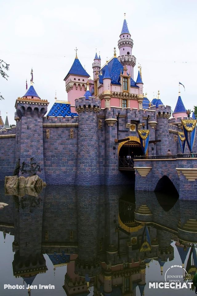 , Disneyland Update – Rumors, Reopenings, and Renewal