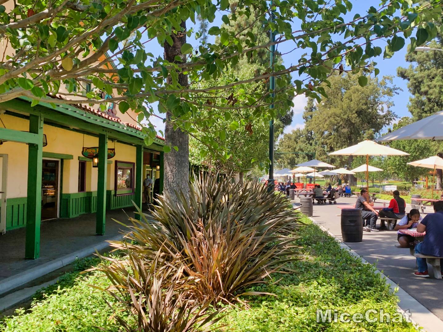 , Disneyland Update – Rumors, Reopenings, and Renewal