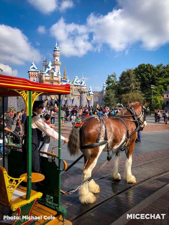 , Disneyland Update – Delays! Cancelations! Frustration!