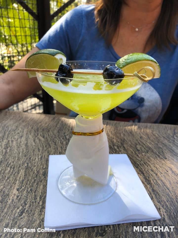 , Disneyland Update – Reopening Questions, Aerial Photos, Splash Concerns