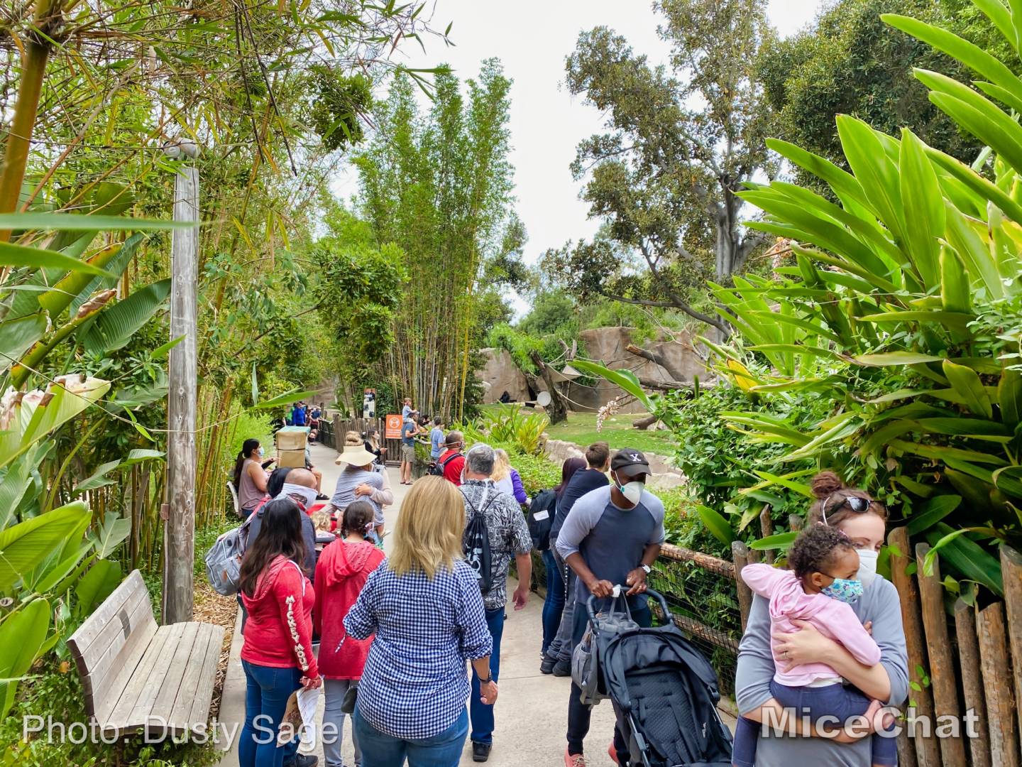 , San Diego Zoo Safari Park’s Rocky Opening Day