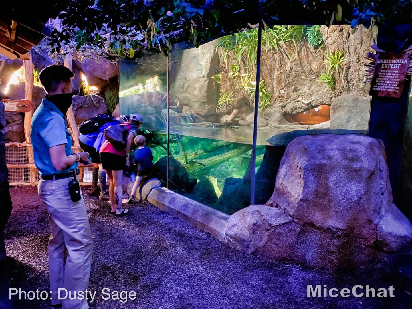 , San Diego Zoo Safari Park’s Rocky Opening Day