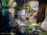 San-Diego-Zoo-Safari-Park-australia-platypus-interior-micechat