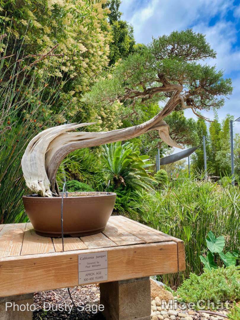 , San Diego Zoo Safari Park’s Rocky Opening Day