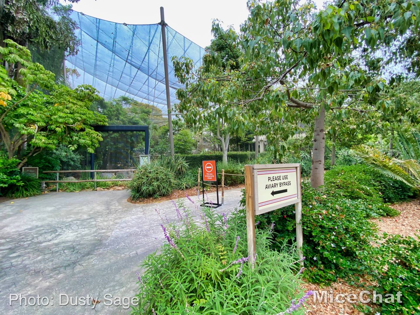 , San Diego Zoo Safari Park’s Rocky Opening Day