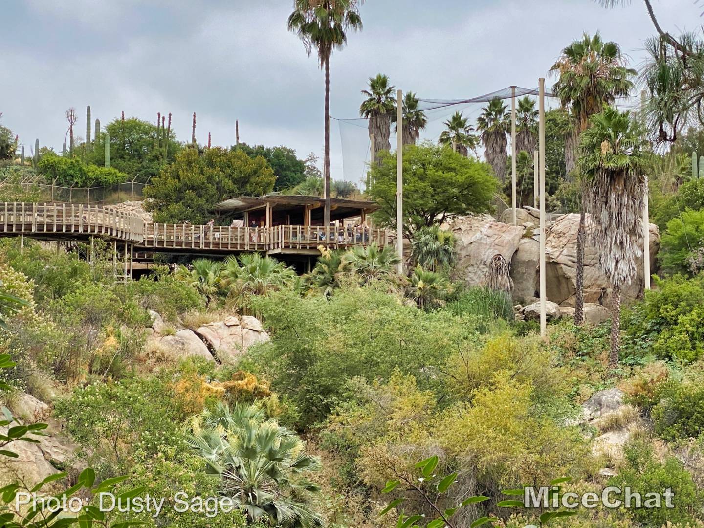 San-Diego-Zoo-Safari-Park-condor-ridge-distance-micechat - MiceChat