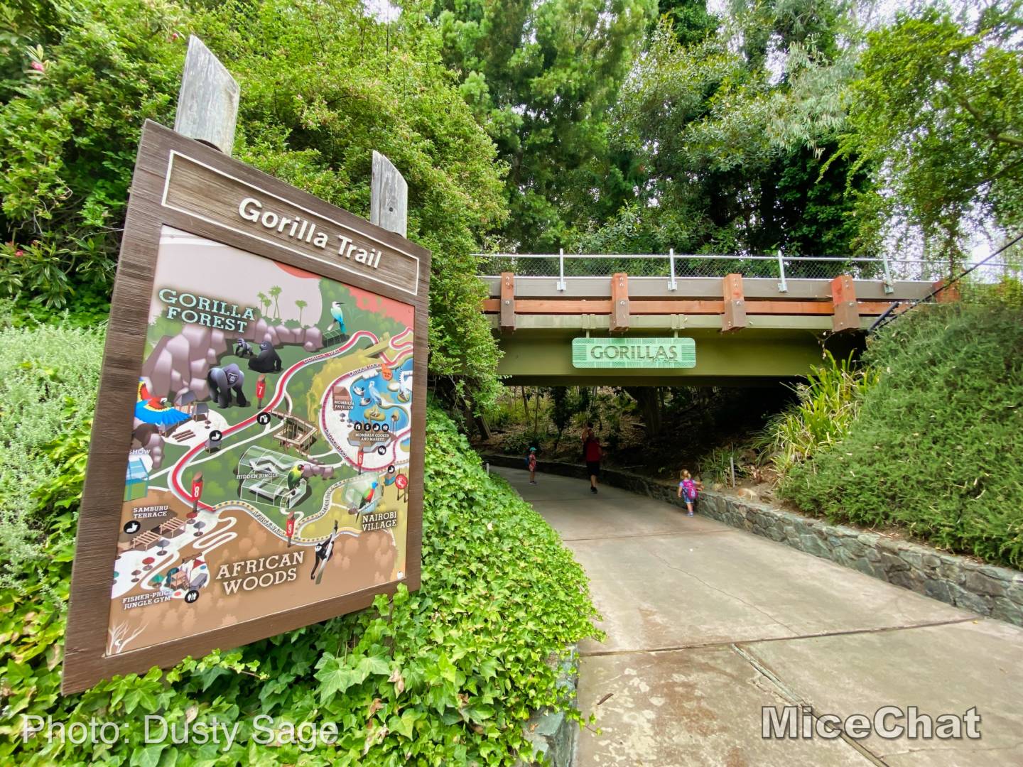 , San Diego Zoo Safari Park’s Rocky Opening Day
