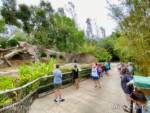 San-Diego-Zoo-Safari-Park-gorillas-distancing-good-micechat