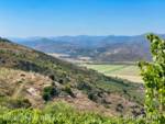 San-Diego-Zoo-Safari-Park-view-1-micechat
