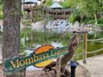 San-Diego-Zoo-Safari-Park-view-mombasa-lagoon-view-micechat