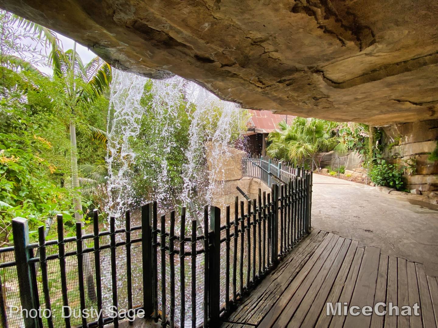 , San Diego Zoo Safari Park’s Rocky Opening Day