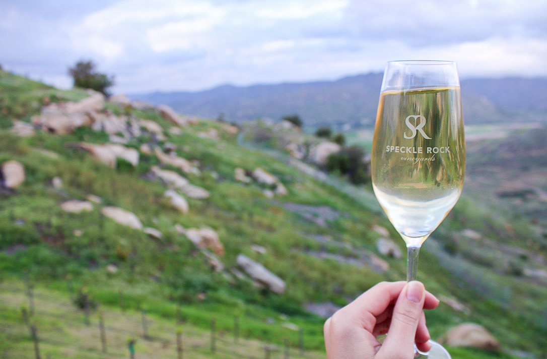 , San Diego Zoo Safari Park’s Rocky Opening Day