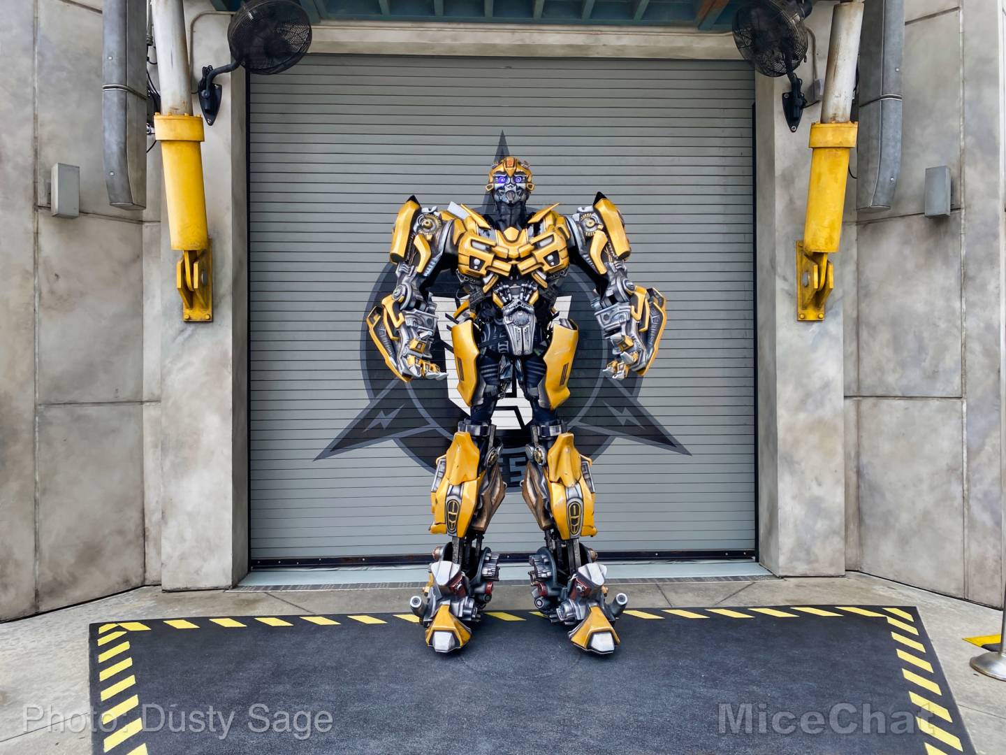 , Universal Orlando Resort Officially Open – Our Opening Day Videos From the Parks!