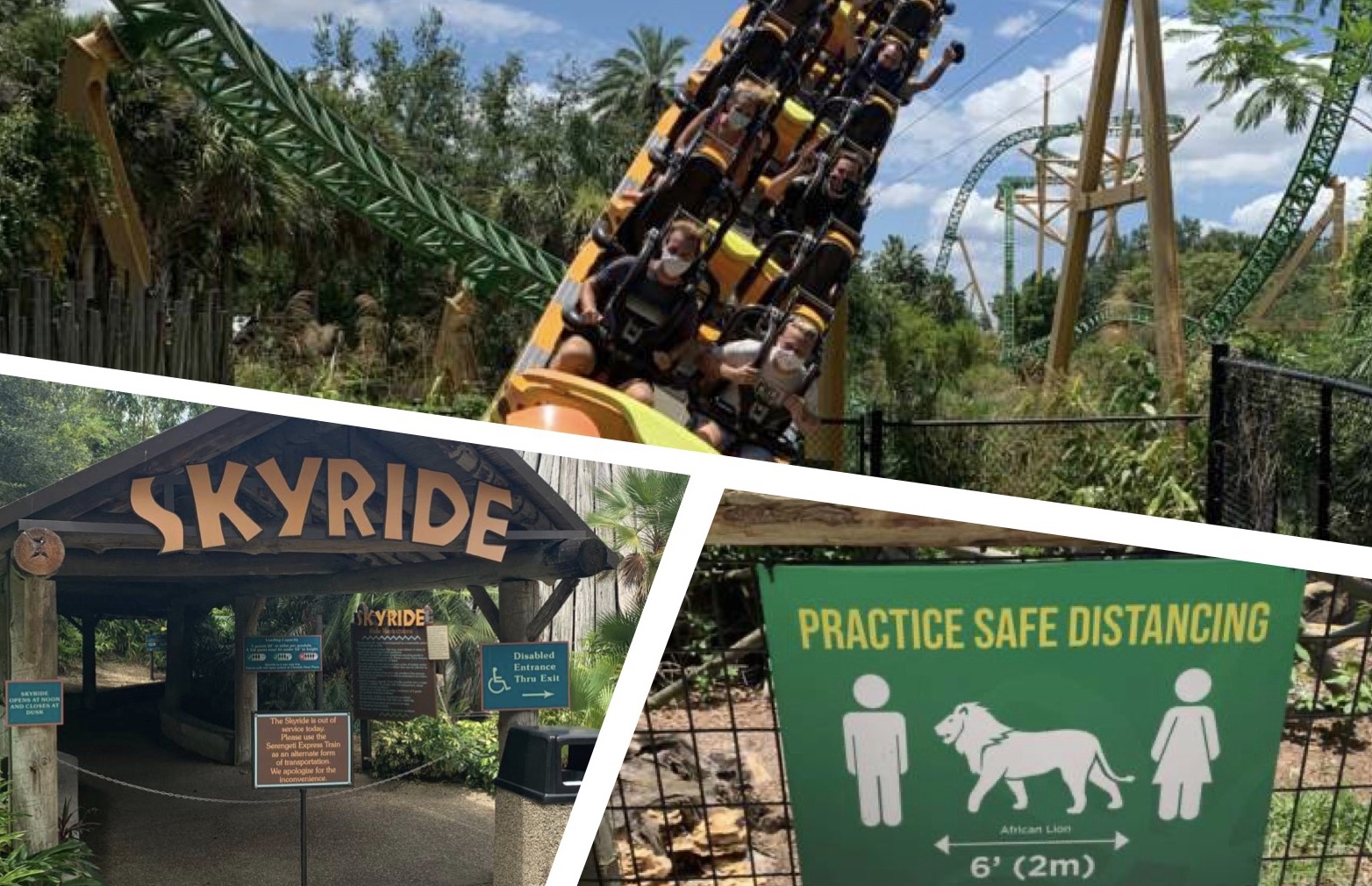 Busch Gardens, SeaWorld may boast the best new roller coasters of 2020