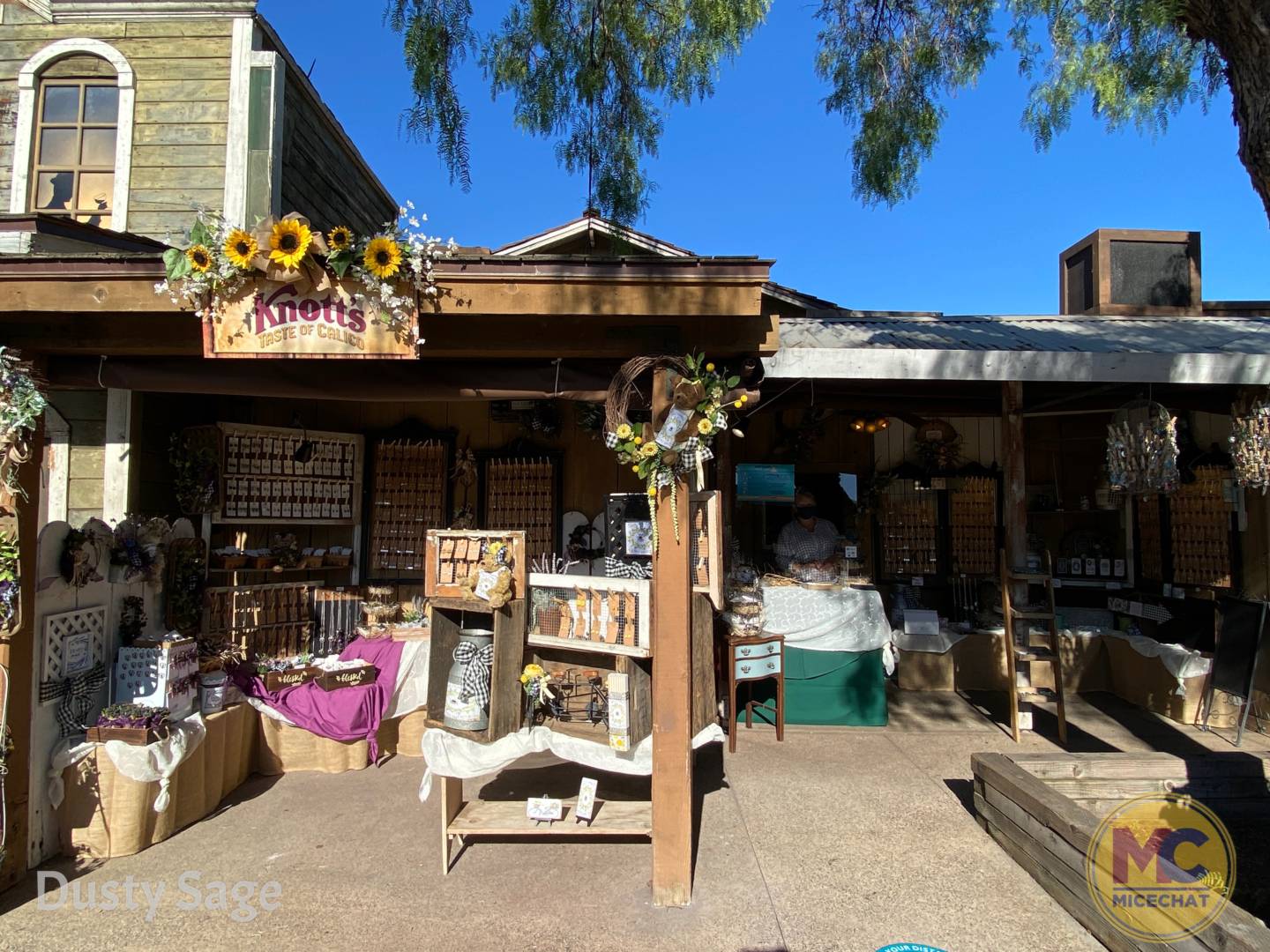 , Knott’s Berry Farm Partially Opens for NEW Festival!