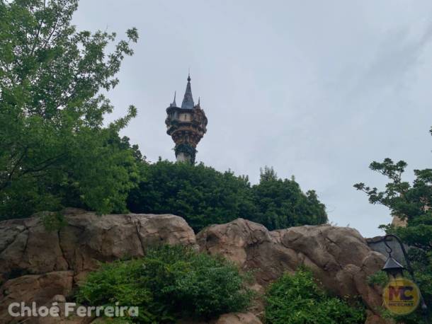 , Walt Disney World Update &#8211; No Simple Walk in the Park