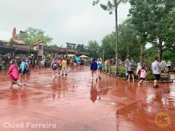 , Walt Disney World Update &#8211; No Simple Walk in the Park