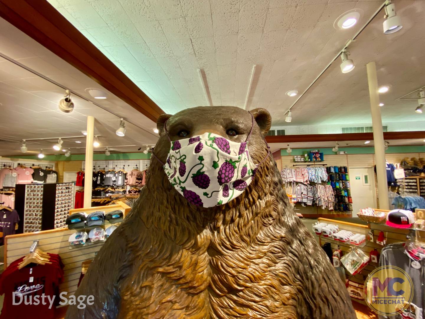 , Knott’s Berry Farm Partially Opens for NEW Festival!