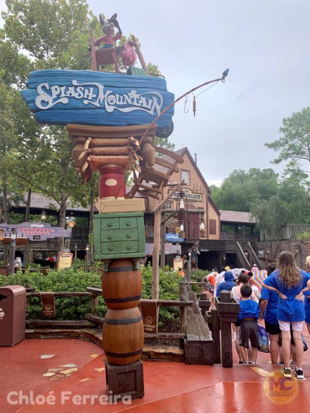 , Walt Disney World Update – No Simple Walk in the Park