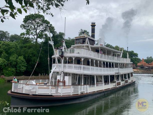, Walt Disney World Update – No Simple Walk in the Park