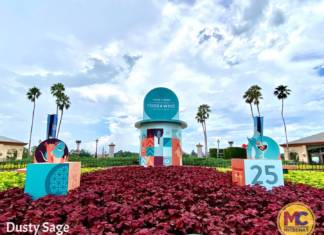 Deliciously Different: EPCOT’s Modified Food & Wine Festival 2020