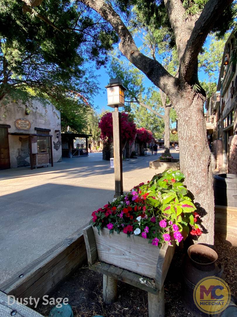 , Knott’s Berry Farm Partially Opens for NEW Festival!