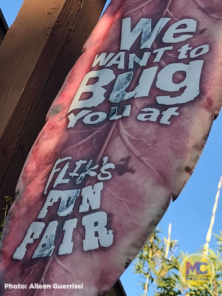 , Disneyland Update – Popping In and Bugging Out