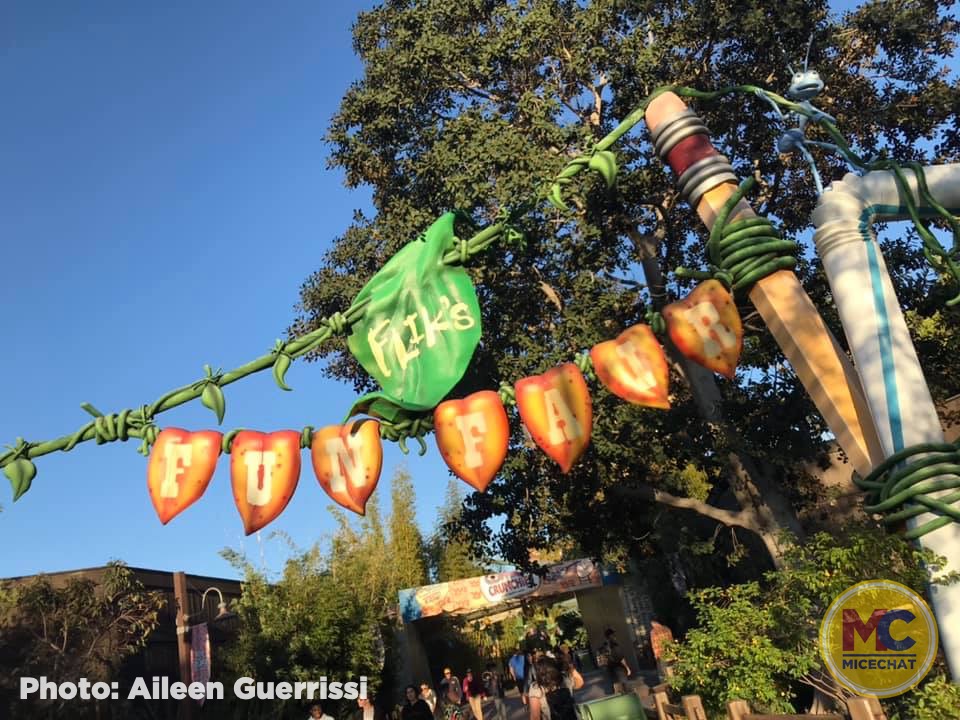 , Disneyland Update – Popping In and Bugging Out