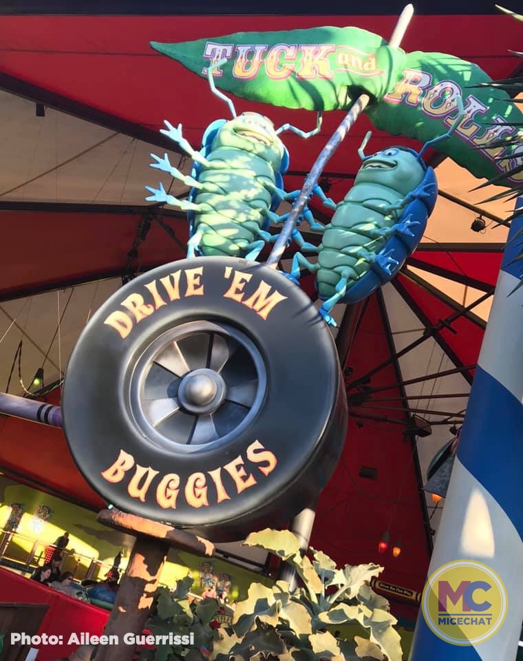 , Disneyland Update – Popping In and Bugging Out