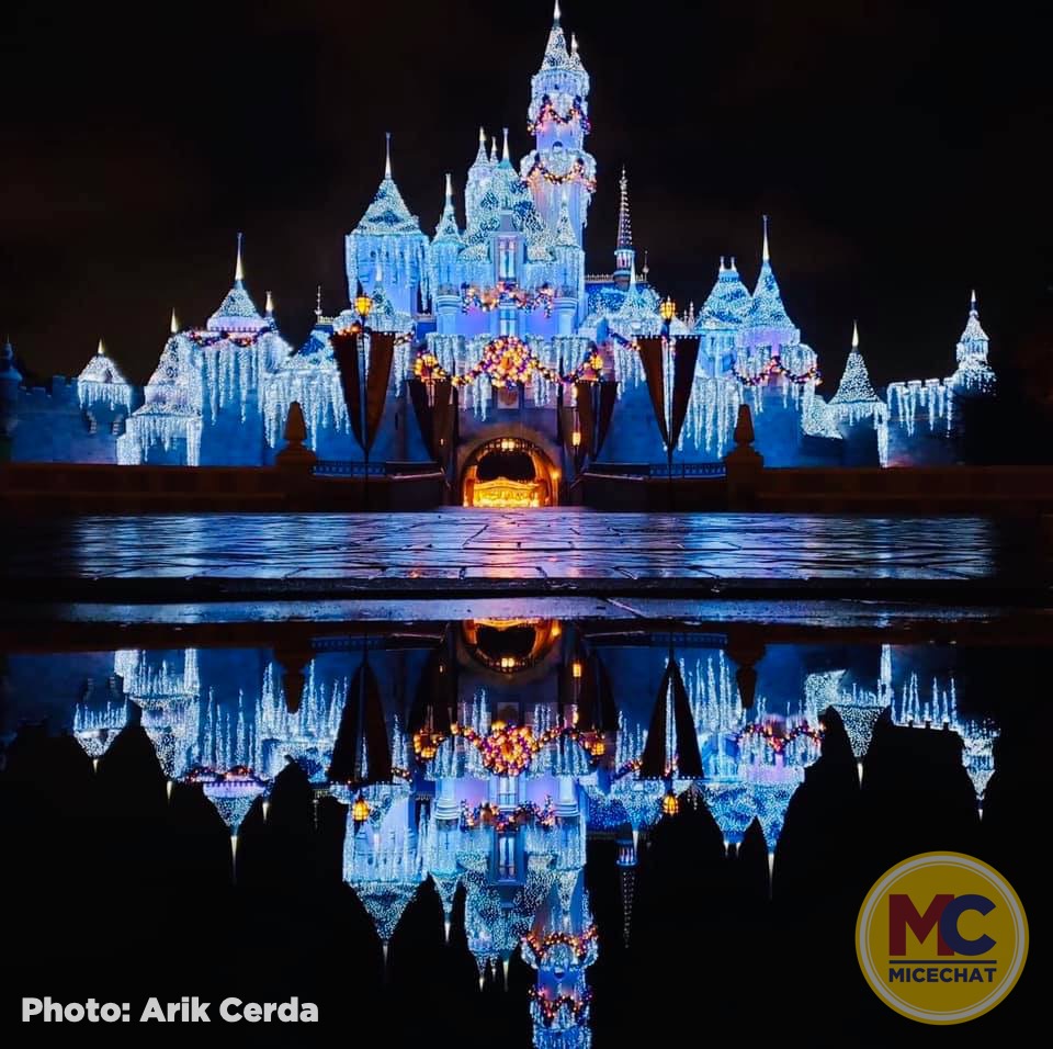 , Disneyland Update – It’s Beginning to Look a Lot Like Progress