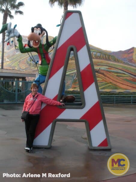 , Disneyland Update – It’s Beginning to Look a Lot Like Progress