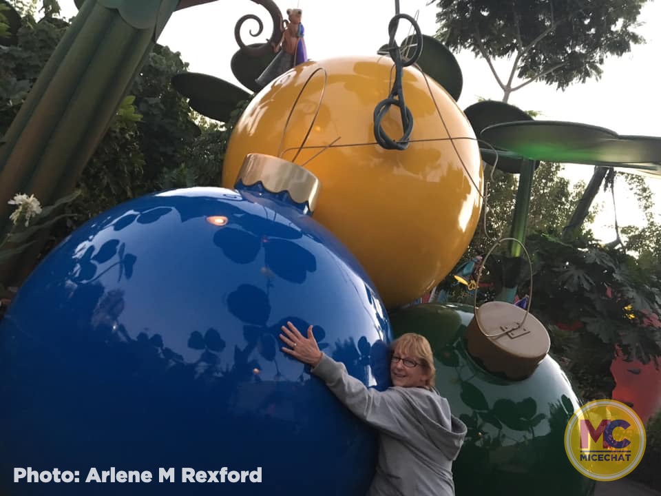 , Disneyland Update &#8211; It&#8217;s Beginning to Look a Lot Like Progress