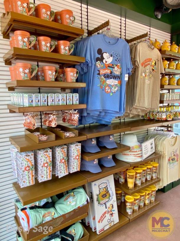 , Deliciously Different: EPCOT’s Modified Food & Wine Festival 2020