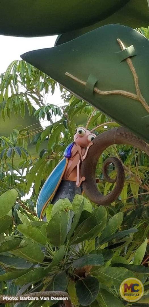 , Disneyland Update – Popping In and Bugging Out