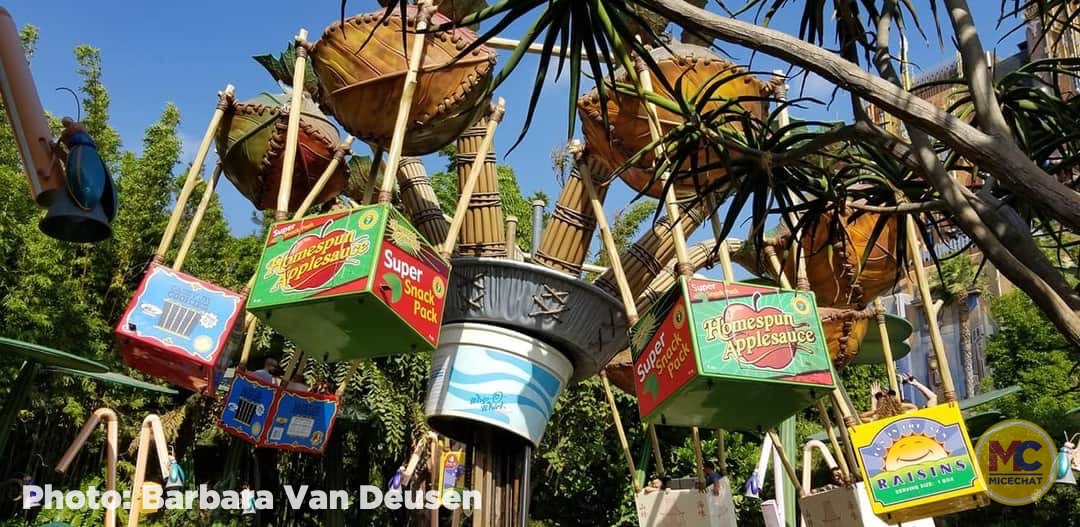 , Disneyland Update – Popping In and Bugging Out