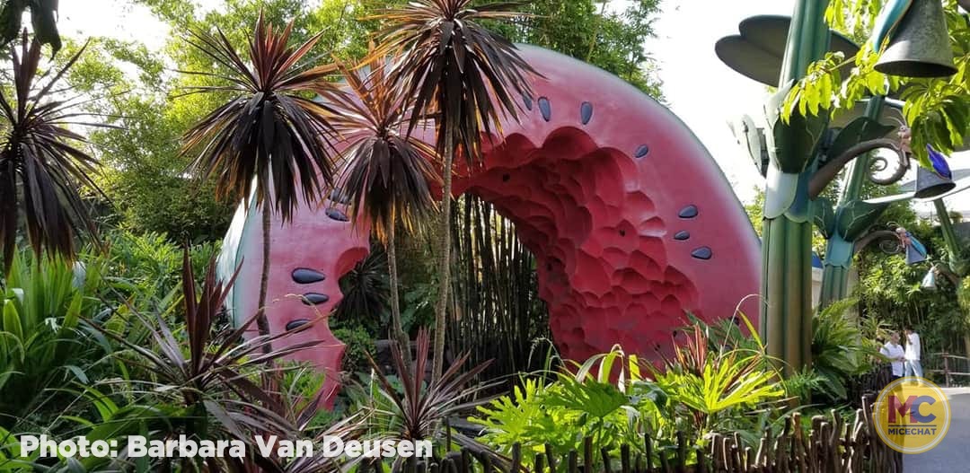 , Disneyland Update – Popping In and Bugging Out