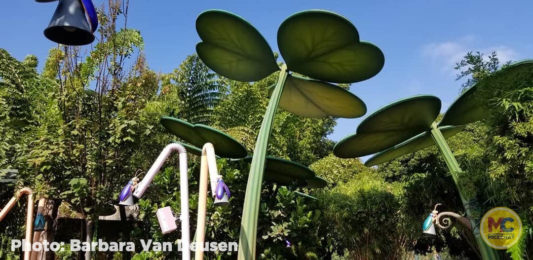 , Disneyland Update – Popping In and Bugging Out