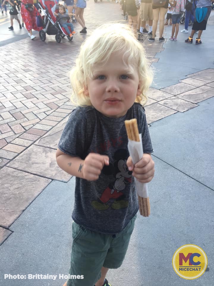 , Disneyland Update – 65th Anniversary Tragic Celebration