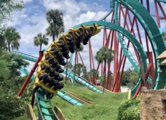 The Wild Side: Checking In On Busch Gardens Tampa