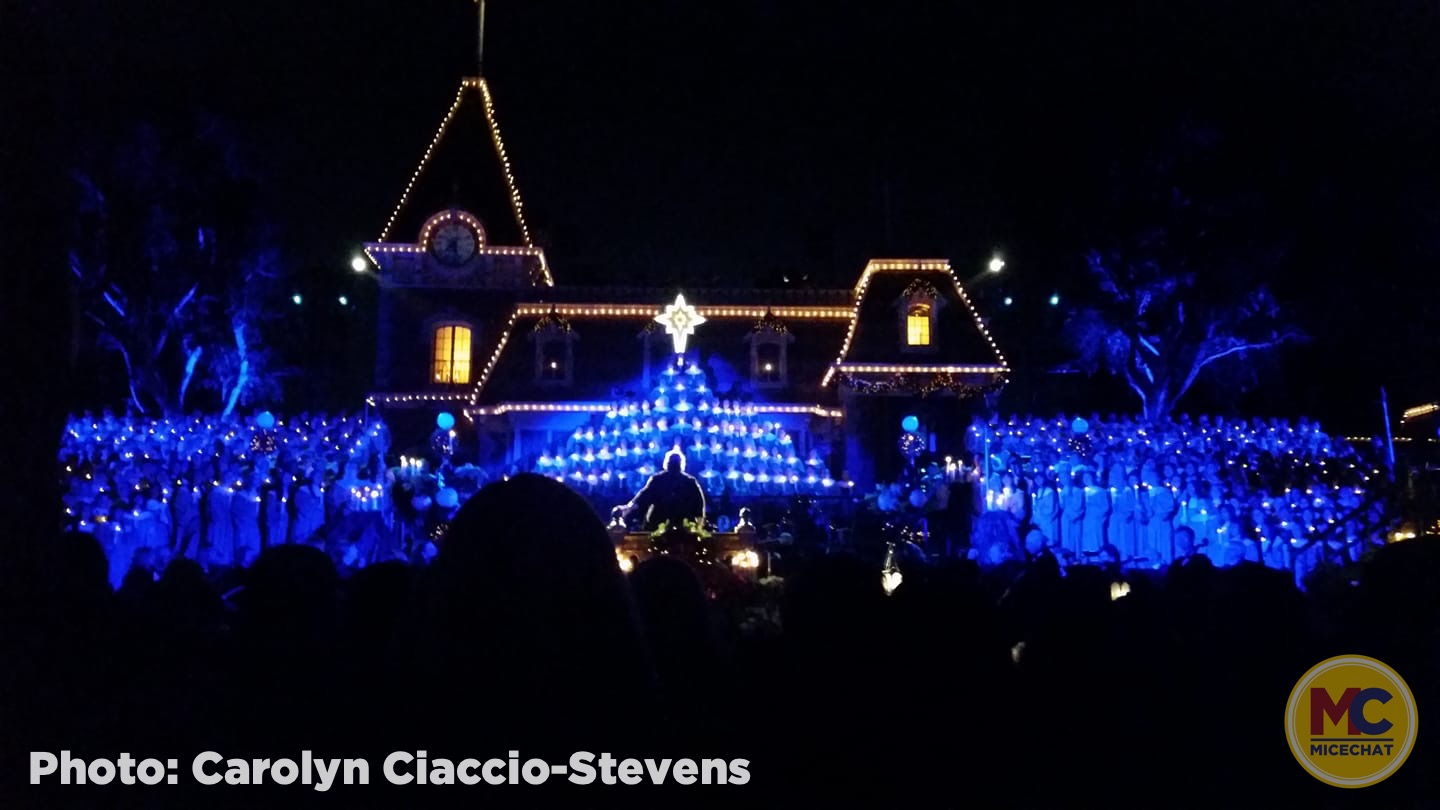 , Disneyland Update – It’s Beginning to Look a Lot Like Progress