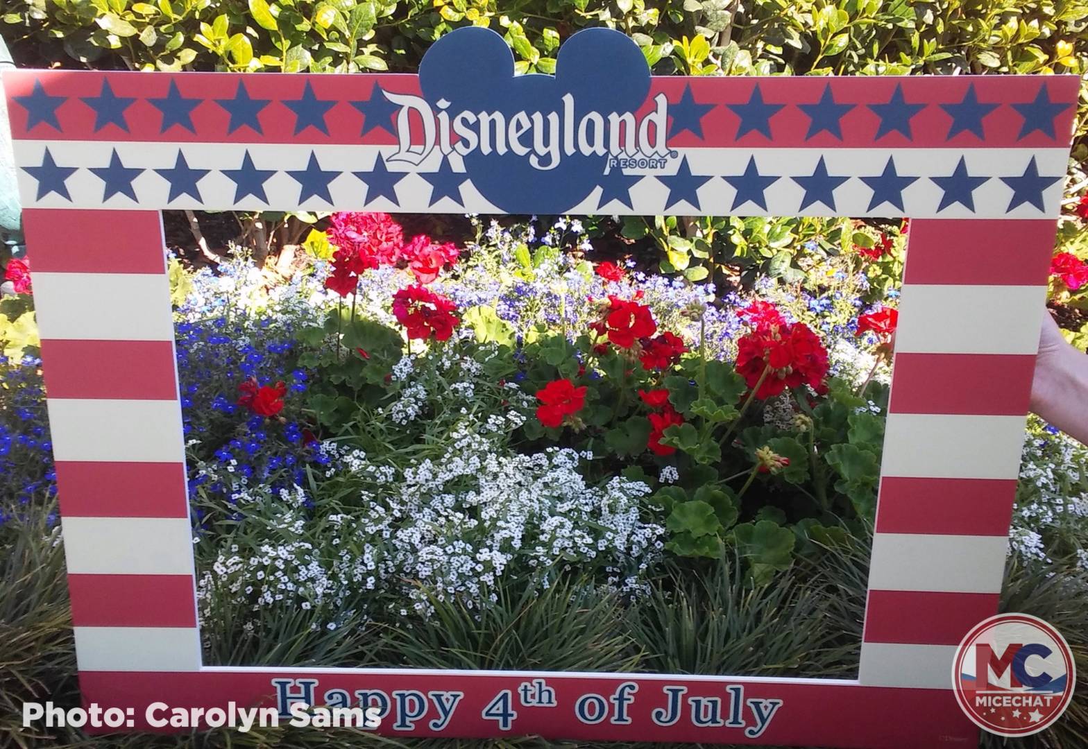 , Disneyland Update &#8211; Partial Reopening Begins This Week &#038; Aerial Photos