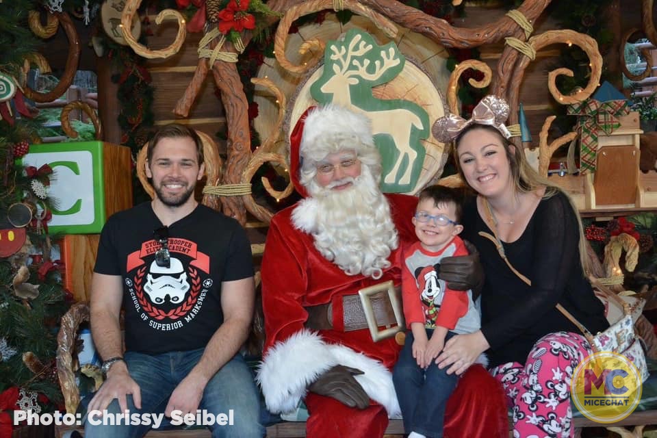 , Disneyland Update – It’s Beginning to Look a Lot Like Progress