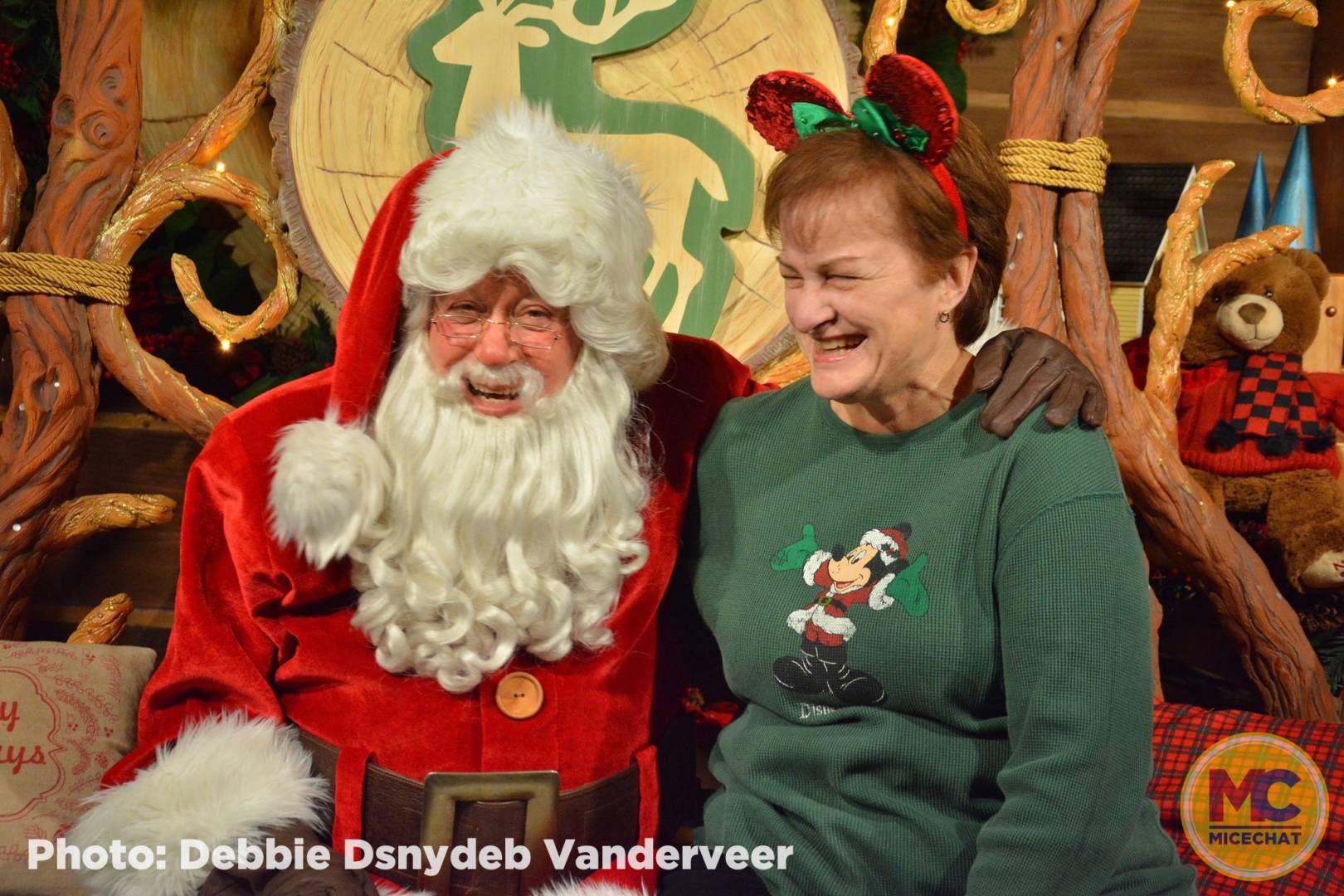 , Disneyland Update – It’s Beginning to Look a Lot Like Progress
