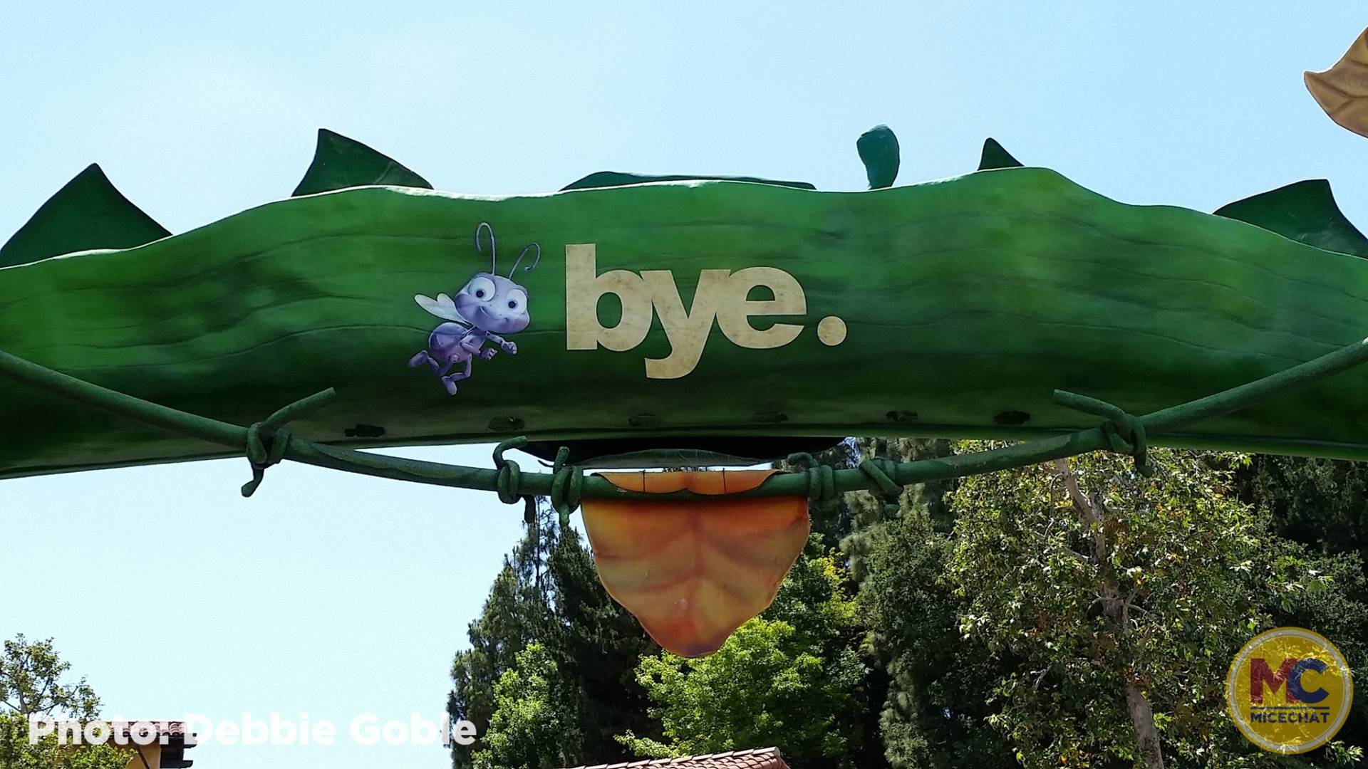 , Disneyland Update – Popping In and Bugging Out
