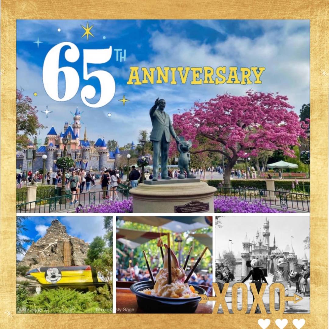 , Disneyland Update – 65th Anniversary Tragic Celebration